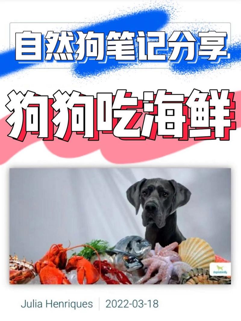 狗狗吃海鲜过敏怎么办,狗吃海鲜过敏吃什么药-第2张图片-后鲨宠物 狗狗吃海鲜过敏怎么办,狗吃海鲜过敏吃什么药-第2张图片-后鲨宠物