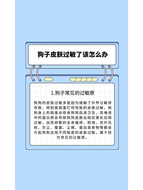 狗狗吃海鲜过敏怎么办,狗吃海鲜过敏吃什么药-第4张图片-后鲨宠物 狗狗吃海鲜过敏怎么办,狗吃海鲜过敏吃什么药-第4张图片-后鲨宠物