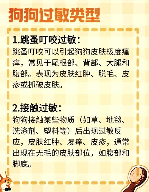 狗狗吃海鲜过敏怎么办,狗吃海鲜过敏吃什么药-第5张图片-后鲨宠物 狗狗吃海鲜过敏怎么办,狗吃海鲜过敏吃什么药-第5张图片-后鲨宠物