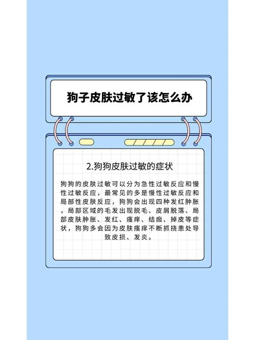 狗狗吃海鲜过敏怎么办,狗吃海鲜过敏吃什么药-第6张图片-后鲨宠物 狗狗吃海鲜过敏怎么办,狗吃海鲜过敏吃什么药-第6张图片-后鲨宠物