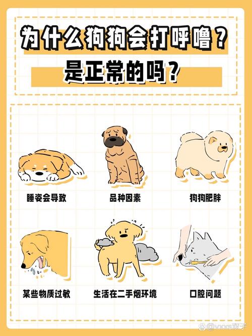 狗狗打呼噜是怎么回事,狗狗打呼噜特别响-第2张图片-后鲨宠物 狗狗打呼噜是怎么回事,狗狗打呼噜特别响-第2张图片-后鲨宠物