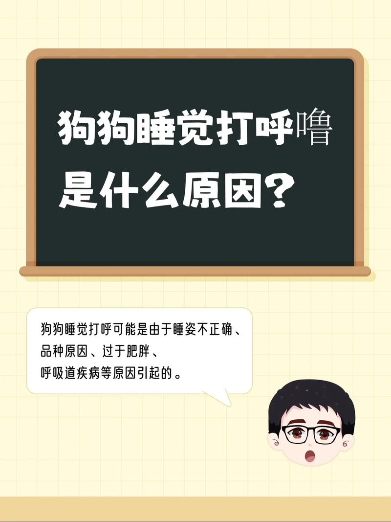 狗狗打呼噜是怎么回事,狗狗打呼噜特别响-第3张图片-后鲨宠物 狗狗打呼噜是怎么回事,狗狗打呼噜特别响-第3张图片-后鲨宠物
