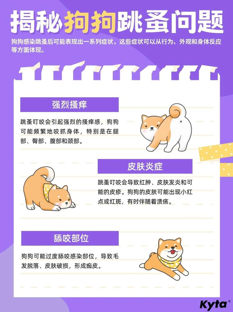 用醋给狗狗洗澡好吗,用白醋给狗洗澡好吗?-第1张图片-后鲨宠物 用醋给狗狗洗澡好吗,用白醋给狗洗澡好吗?-第1张图片-后鲨宠物