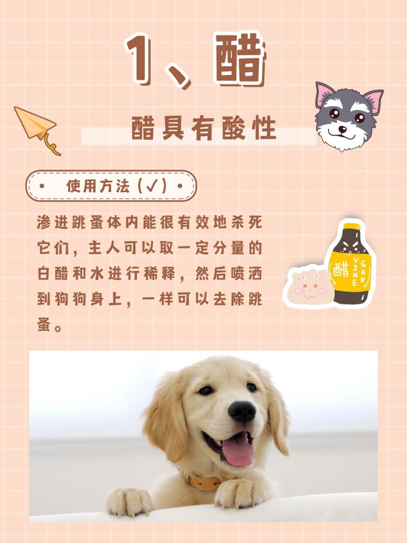 用醋给狗狗洗澡好吗,用白醋给狗洗澡好吗?-第3张图片-后鲨宠物 用醋给狗狗洗澡好吗,用白醋给狗洗澡好吗?-第3张图片-后鲨宠物