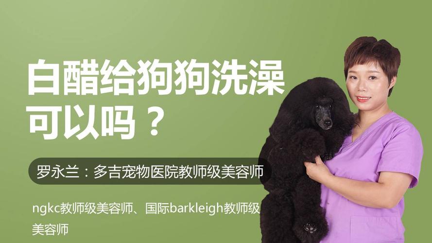 用醋给狗狗洗澡好吗,用白醋给狗洗澡好吗?-第4张图片-后鲨宠物 用醋给狗狗洗澡好吗,用白醋给狗洗澡好吗?-第4张图片-后鲨宠物