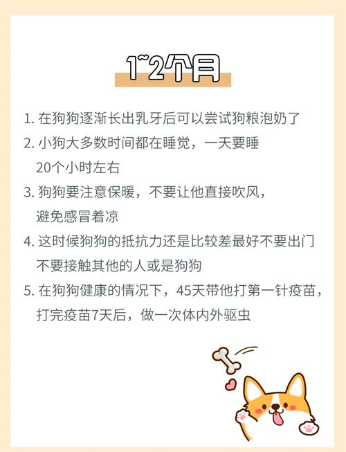 狗狗能喝婴儿奶粉吗,狗狗能喝婴儿配方奶粉吗-第1张图片-后鲨宠物 狗狗能喝婴儿奶粉吗,狗狗能喝婴儿配方奶粉吗-第1张图片-后鲨宠物