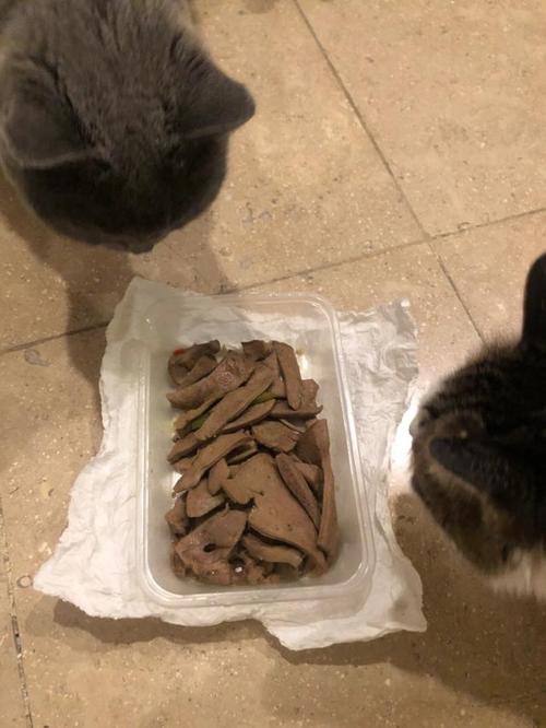 猫咪可以吃猪肝_猫咪可以吃猪肝好还是鸡肝好-第4张图片-后鲨宠物 猫咪可以吃猪肝_猫咪可以吃猪肝好还是鸡肝好-第4张图片-后鲨宠物