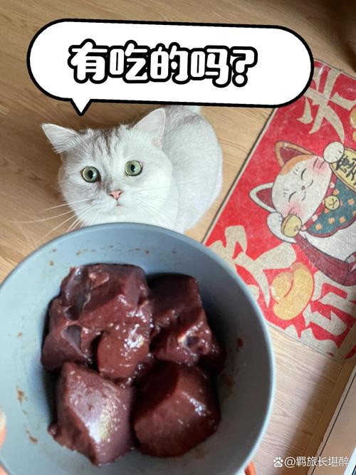 猫咪可以吃猪肝_猫咪可以吃猪肝好还是鸡肝好-第6张图片-后鲨宠物 猫咪可以吃猪肝_猫咪可以吃猪肝好还是鸡肝好-第6张图片-后鲨宠物