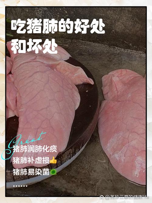 狗狗吃猪肺有什么好处,狗吃猪肺有什么危害吗?-第4张图片-后鲨宠物 狗狗吃猪肺有什么好处,狗吃猪肺有什么危害吗?-第4张图片-后鲨宠物