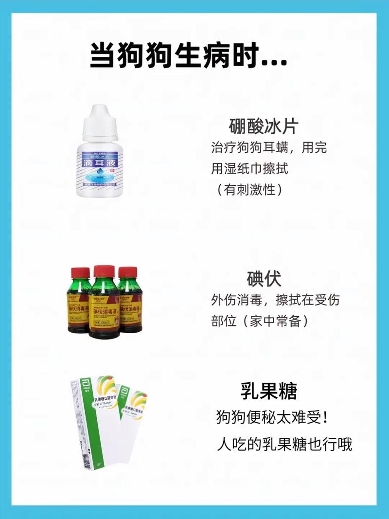 狗狗不愿意吃药怎么办_狗狗不愿意吃药怎么办小妙招-第3张图片-后鲨宠物 狗狗不愿意吃药怎么办_狗狗不愿意吃药怎么办小妙招-第3张图片-后鲨宠物