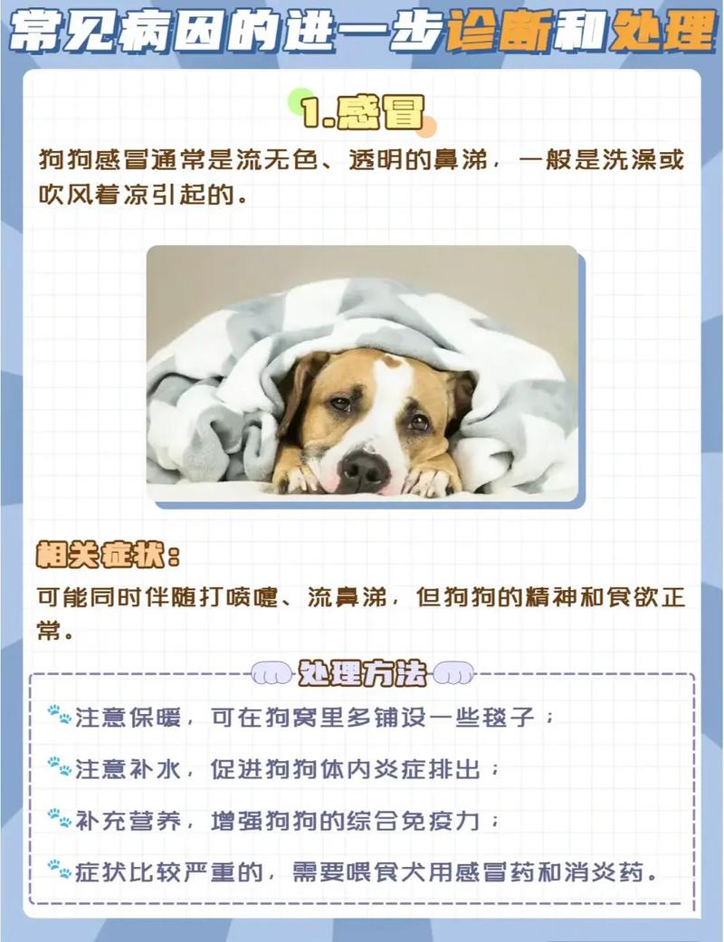 狗狗不愿意吃药怎么办_狗狗不愿意吃药怎么办小妙招-第4张图片-后鲨宠物 狗狗不愿意吃药怎么办_狗狗不愿意吃药怎么办小妙招-第4张图片-后鲨宠物