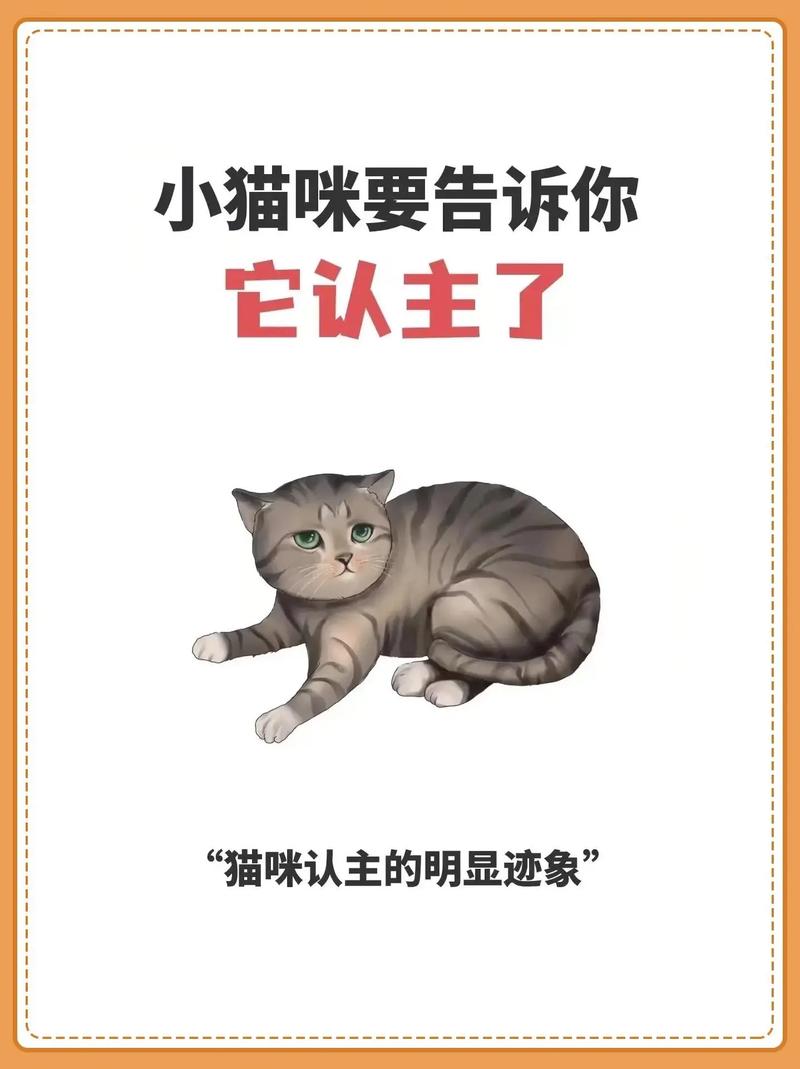 猫咪换主人会难过吗,猫换主人会亲近新主人吗?-第4张图片-后鲨宠物 猫咪换主人会难过吗,猫换主人会亲近新主人吗?-第4张图片-后鲨宠物