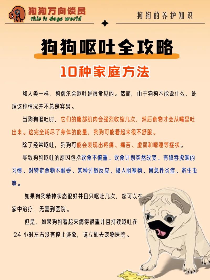 狗狗可以吃烧烤吗_小狗可不可以吃烧烤-第5张图片-后鲨宠物 狗狗可以吃烧烤吗_小狗可不可以吃烧烤-第5张图片-后鲨宠物