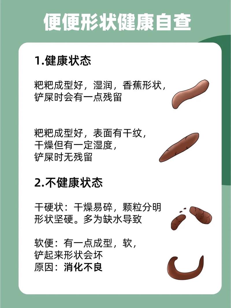 猫咪随地大小便怎么办_猫猫随地小便怎么办-第3张图片-后鲨宠物 猫咪随地大小便怎么办_猫猫随地小便怎么办-第3张图片-后鲨宠物