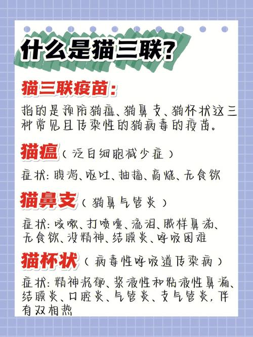 猫咪可以不打疫苗吗,没打过疫苗的猫能做绝育吗-第3张图片-后鲨宠物 猫咪可以不打疫苗吗,没打过疫苗的猫能做绝育吗-第3张图片-后鲨宠物