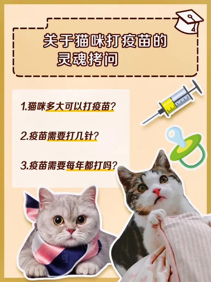 猫咪可以不打疫苗吗,没打过疫苗的猫能做绝育吗-第4张图片-后鲨宠物 猫咪可以不打疫苗吗,没打过疫苗的猫能做绝育吗-第4张图片-后鲨宠物