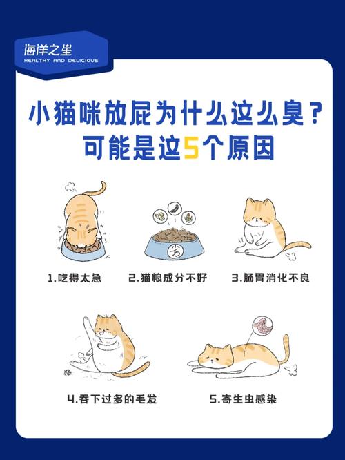 猫咪老放屁是怎么回事_猫咪总放屁是什么原因-第1张图片-后鲨宠物 猫咪老放屁是怎么回事_猫咪总放屁是什么原因-第1张图片-后鲨宠物