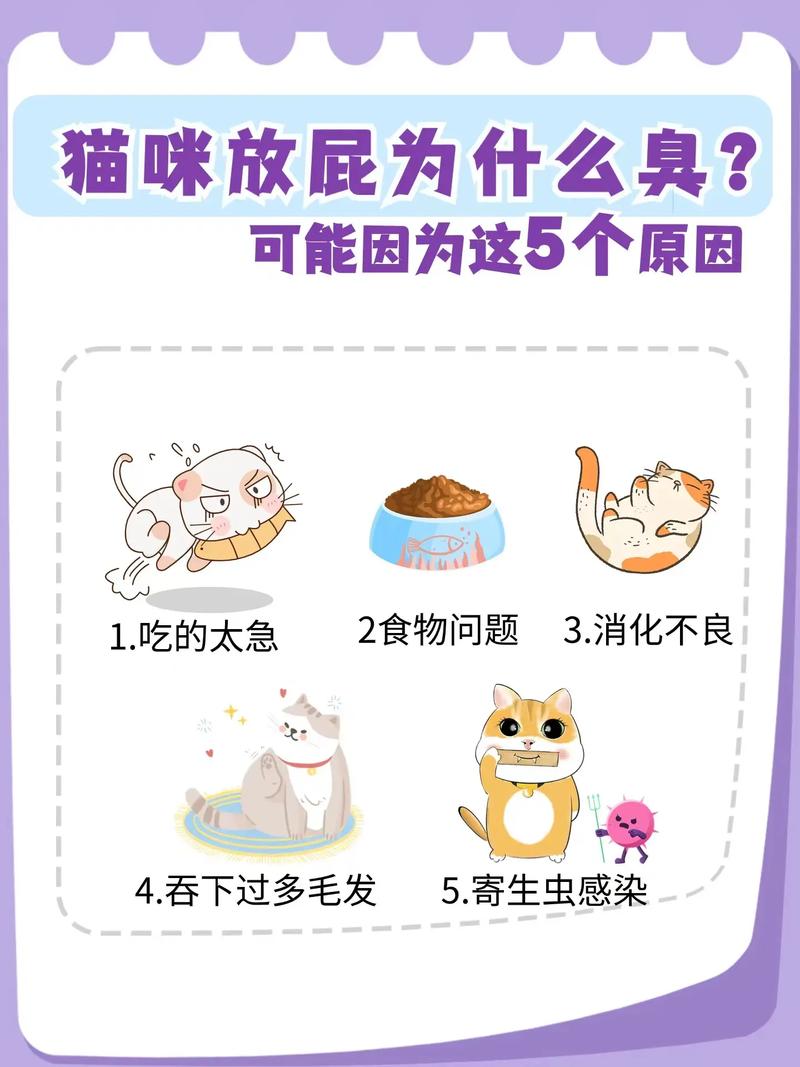 猫咪老放屁是怎么回事_猫咪总放屁是什么原因-第2张图片-后鲨宠物 猫咪老放屁是怎么回事_猫咪总放屁是什么原因-第2张图片-后鲨宠物