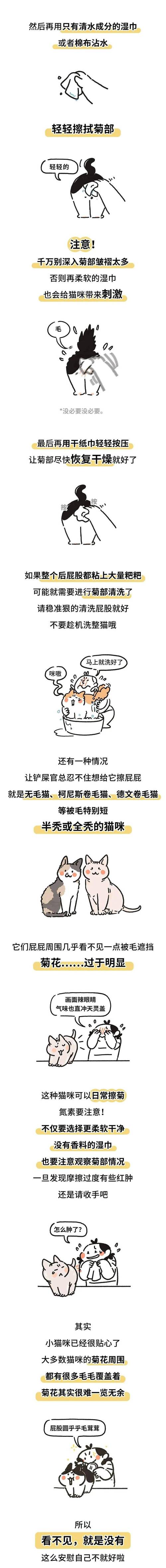 猫咪老放屁是怎么回事_猫咪总放屁是什么原因-第6张图片-后鲨宠物 猫咪老放屁是怎么回事_猫咪总放屁是什么原因-第6张图片-后鲨宠物