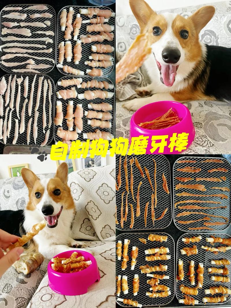 狗狗磨牙棒多久吃一次_狗狗磨牙棒多久吃一次合适-第4张图片-后鲨宠物 狗狗磨牙棒多久吃一次_狗狗磨牙棒多久吃一次合适-第4张图片-后鲨宠物