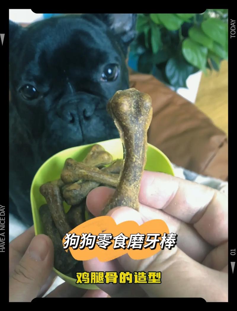 狗狗磨牙棒多久吃一次_狗狗磨牙棒多久吃一次合适-第5张图片-后鲨宠物 狗狗磨牙棒多久吃一次_狗狗磨牙棒多久吃一次合适-第5张图片-后鲨宠物