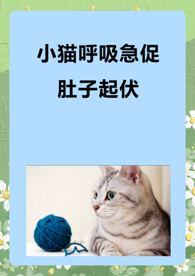 猫咪睡觉呼吸急促_猫咪睡觉呼吸急促还有声音-第4张图片-后鲨宠物 猫咪睡觉呼吸急促_猫咪睡觉呼吸急促还有声音-第4张图片-后鲨宠物