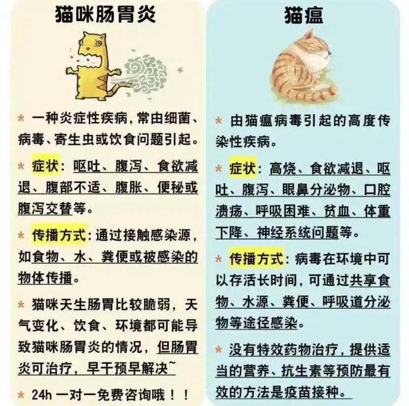  猫咪呕吐后可以喝水吗，猫咪呕吐后可以喝奶吗-第2张图片-后鲨宠物