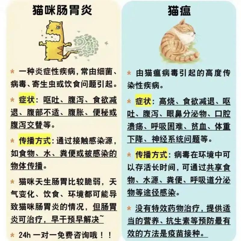  猫咪呕吐后可以喝水吗，猫咪呕吐后可以喝奶吗-第5张图片-后鲨宠物