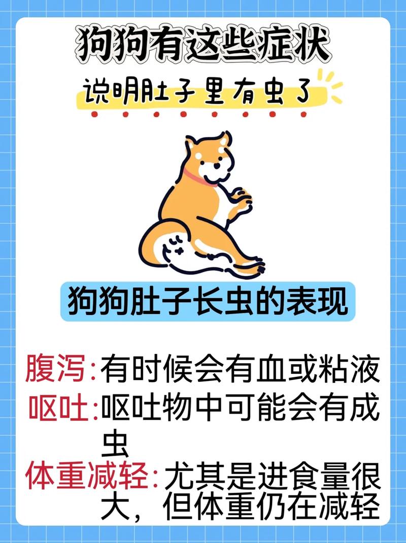 狗狗肚子里有虫子会拉稀吗,狗狗肚子里有虫子会拉稀吗怎么办?-第3张图片-后鲨宠物 狗狗肚子里有虫子会拉稀吗,狗狗肚子里有虫子会拉稀吗怎么办?-第3张图片-后鲨宠物