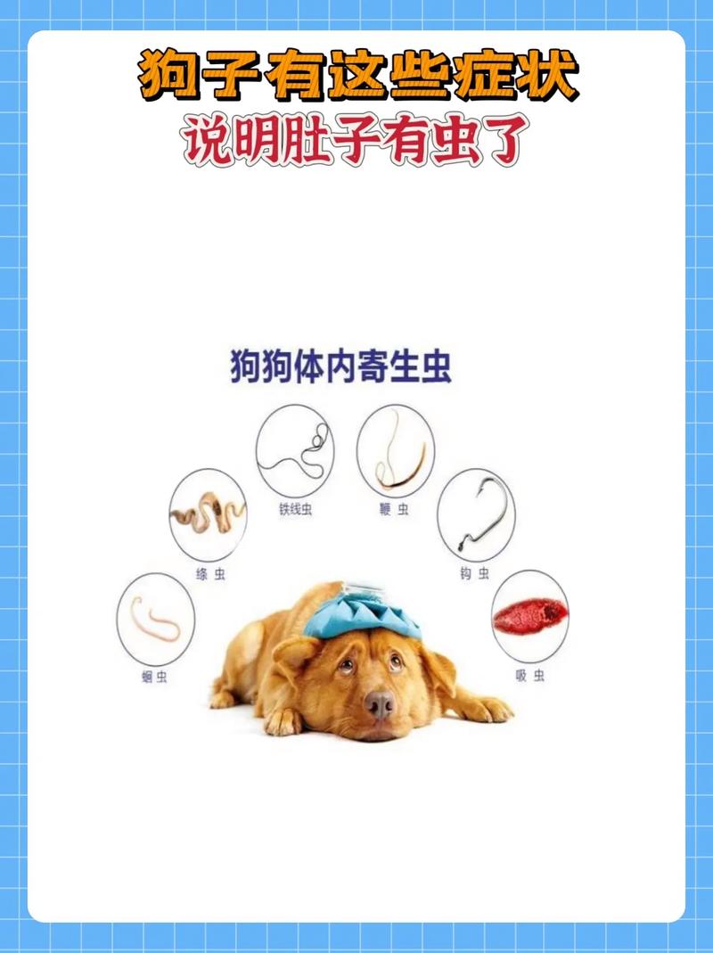 狗狗肚子里有虫子会拉稀吗,狗狗肚子里有虫子会拉稀吗怎么办?-第4张图片-后鲨宠物 狗狗肚子里有虫子会拉稀吗,狗狗肚子里有虫子会拉稀吗怎么办?-第4张图片-后鲨宠物