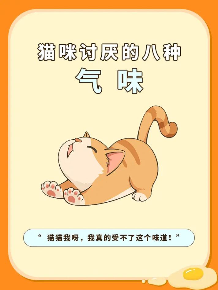 猫咪讨厌什么味道,猫咪讨厌什么味道的喷雾-第1张图片-后鲨宠物 猫咪讨厌什么味道,猫咪讨厌什么味道的喷雾-第1张图片-后鲨宠物