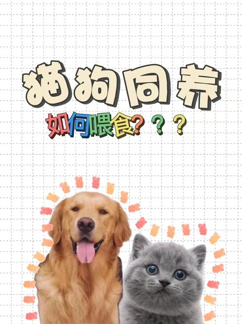 狗狗吃猫粮会怎么样_狗吃猫粮会有什么影响吗-第1张图片-后鲨宠物 狗狗吃猫粮会怎么样_狗吃猫粮会有什么影响吗-第1张图片-后鲨宠物