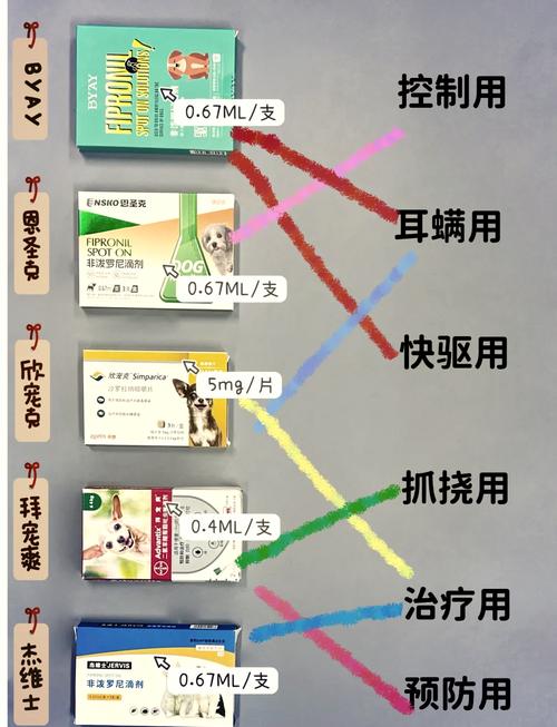 狗狗多大吃驱虫药_小狗多大吃体内驱虫药-第3张图片-后鲨宠物 狗狗多大吃驱虫药_小狗多大吃体内驱虫药-第3张图片-后鲨宠物