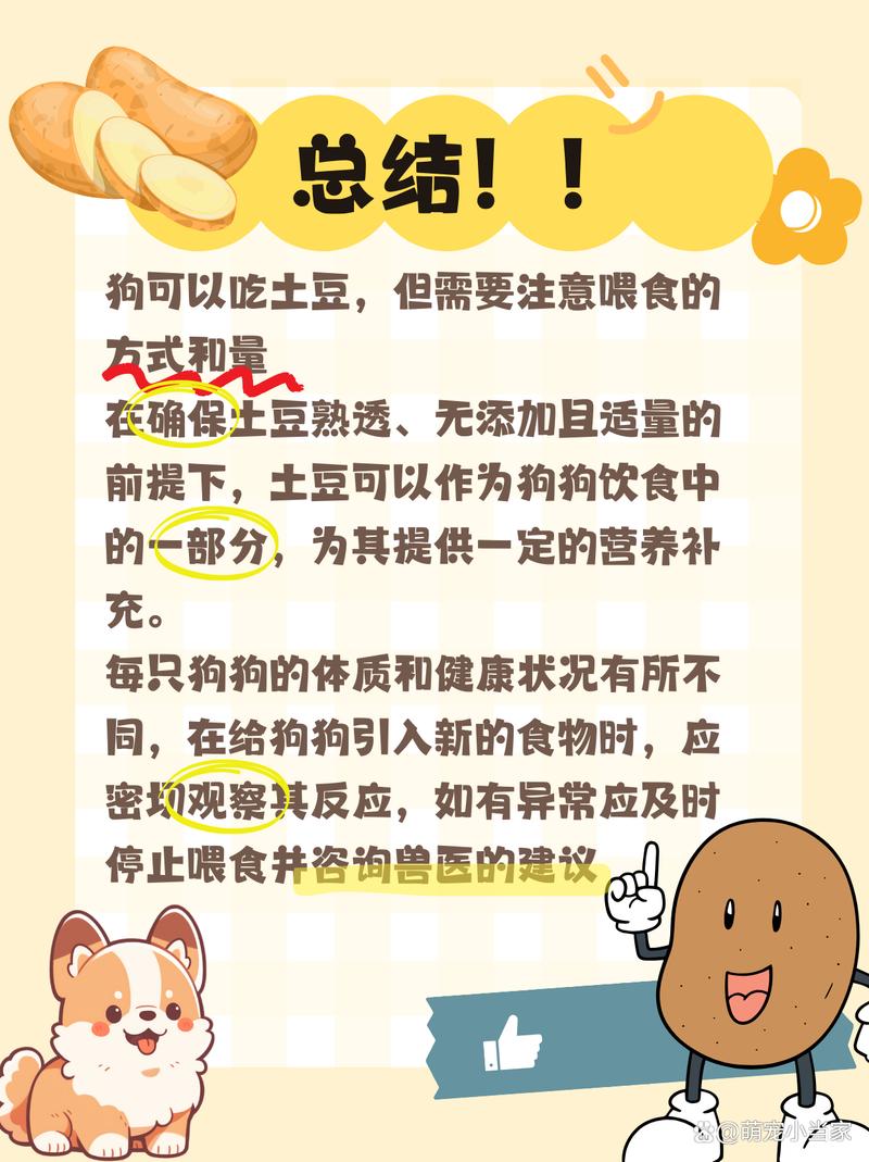 狗狗吃土豆好吗,狗狗吃土豆好吗会死吗?-第4张图片-后鲨宠物 狗狗吃土豆好吗,狗狗吃土豆好吗会死吗?-第4张图片-后鲨宠物