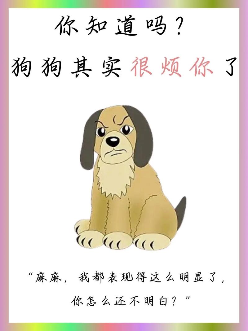 狗狗几个月是尴尬期_小狗几个月开始猛长-第3张图片-后鲨宠物 狗狗几个月是尴尬期_小狗几个月开始猛长-第3张图片-后鲨宠物