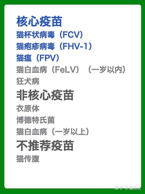 猫咪多大可以打狂犬疫苗_猫咪多大可以打狂犬疫苗多少钱-第1张图片-后鲨宠物 猫咪多大可以打狂犬疫苗_猫咪多大可以打狂犬疫苗多少钱-第1张图片-后鲨宠物