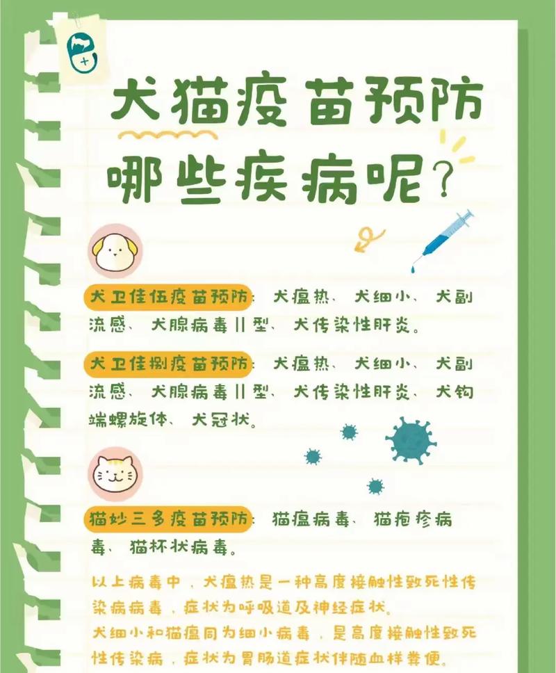 猫咪多大可以打狂犬疫苗_猫咪多大可以打狂犬疫苗多少钱-第3张图片-后鲨宠物 猫咪多大可以打狂犬疫苗_猫咪多大可以打狂犬疫苗多少钱-第3张图片-后鲨宠物