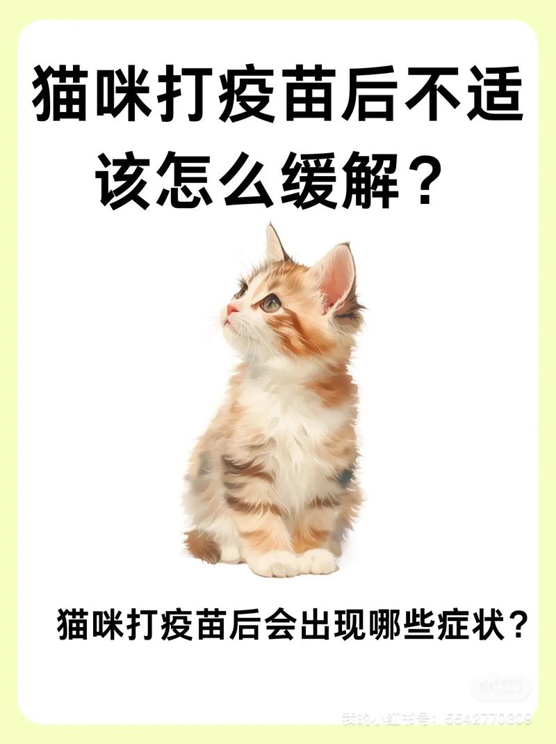猫咪打完疫苗不良反应_猫猫打完疫苗不良反应-第2张图片-后鲨宠物 猫咪打完疫苗不良反应_猫猫打完疫苗不良反应-第2张图片-后鲨宠物