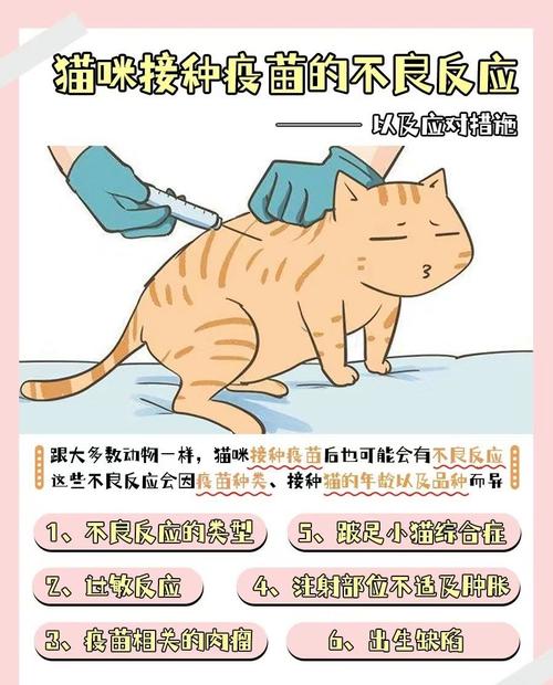 猫咪打完疫苗不良反应_猫猫打完疫苗不良反应-第4张图片-后鲨宠物 猫咪打完疫苗不良反应_猫猫打完疫苗不良反应-第4张图片-后鲨宠物