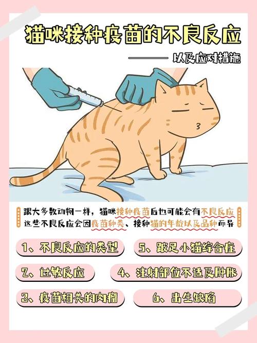 猫咪打完疫苗不良反应_猫猫打完疫苗不良反应-第5张图片-后鲨宠物 猫咪打完疫苗不良反应_猫猫打完疫苗不良反应-第5张图片-后鲨宠物