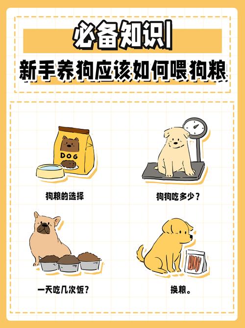 如何让狗狗吃狗粮,如何让狗狗吃狗粮多一点-第6张图片-后鲨宠物 如何让狗狗吃狗粮,如何让狗狗吃狗粮多一点-第6张图片-后鲨宠物