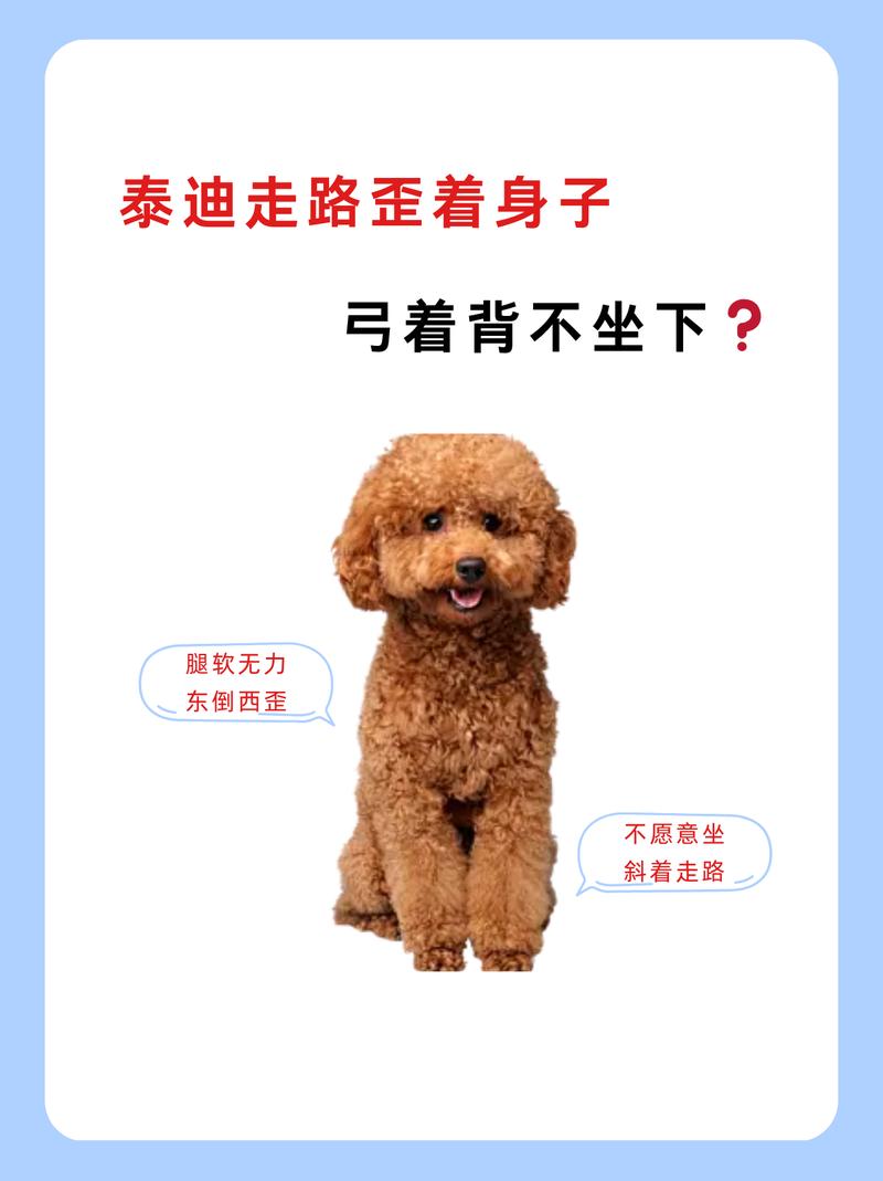 狗狗弓着身子怎么回事,狗狗弓着身子走来走去-第4张图片-后鲨宠物 狗狗弓着身子怎么回事,狗狗弓着身子走来走去-第4张图片-后鲨宠物