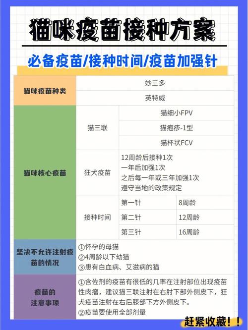 猫咪多久打一次疫苗,猫咪多久打一次疫苗一次疫苗打几针?-第6张图片-后鲨宠物 猫咪多久打一次疫苗,猫咪多久打一次疫苗一次疫苗打几针?-第6张图片-后鲨宠物