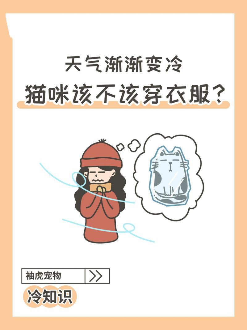 猫咪冬天要穿衣服吗,猫冬天需要穿衣服吗??-第3张图片-后鲨宠物 猫咪冬天要穿衣服吗,猫冬天需要穿衣服吗??-第3张图片-后鲨宠物