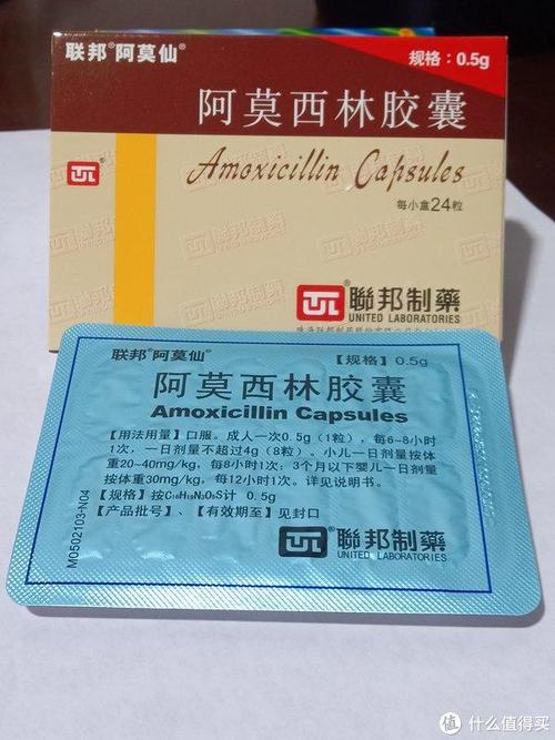 狗狗吃阿莫西林吃多少,狗狗吃阿莫西林吃多少量会死-第3张图片-后鲨宠物 狗狗吃阿莫西林吃多少,狗狗吃阿莫西林吃多少量会死-第3张图片-后鲨宠物