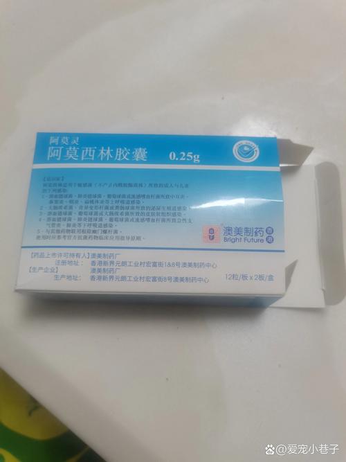 狗狗吃阿莫西林吃多少,狗狗吃阿莫西林吃多少量会死-第4张图片-后鲨宠物 狗狗吃阿莫西林吃多少,狗狗吃阿莫西林吃多少量会死-第4张图片-后鲨宠物