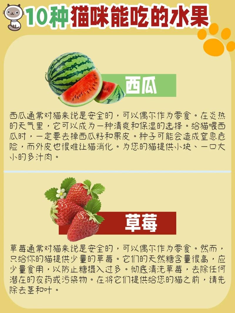 猫咪可以吃水果吗,宠物猫可以吃水果?-第5张图片-后鲨宠物 猫咪可以吃水果吗,宠物猫可以吃水果?-第5张图片-后鲨宠物