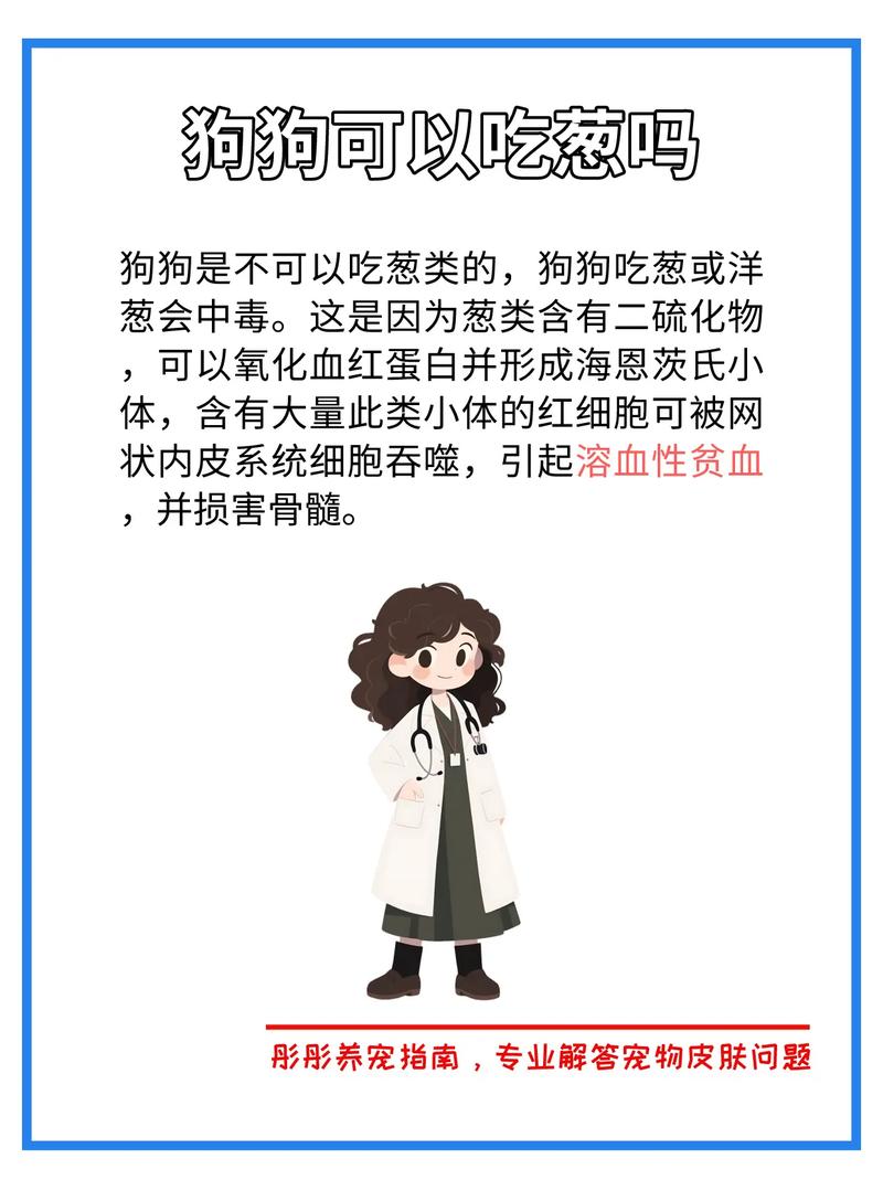 狗狗可以吃葱吗_狗狗能吃葱子吗-第2张图片-后鲨宠物 狗狗可以吃葱吗_狗狗能吃葱子吗-第2张图片-后鲨宠物