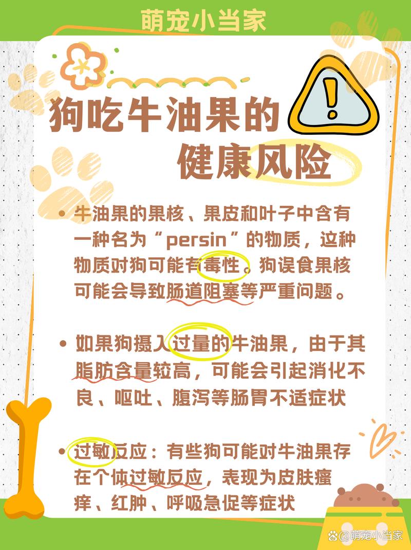 狗狗可以吃牛油果吗_小狗狗可以吃牛油果吗-第4张图片-后鲨宠物 狗狗可以吃牛油果吗_小狗狗可以吃牛油果吗-第4张图片-后鲨宠物