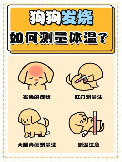 怎么判断狗狗发烧,怎么判断狗狗发烧了?-第6张图片-后鲨宠物 怎么判断狗狗发烧,怎么判断狗狗发烧了?-第6张图片-后鲨宠物